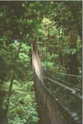 Monteverde