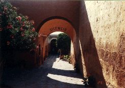Arequipa