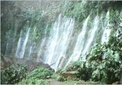 Juayua